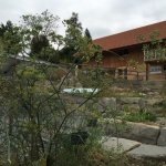 Kräutergarten