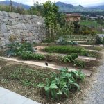 Nutzgarten