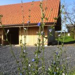 Schau und Lehrbienenstand