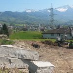 Wildbienengarten