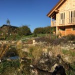 Wildbienengarten