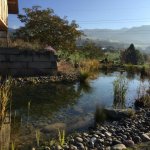 Wildbienengarten